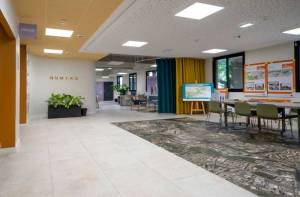 Charly CARDUNER - Visual Light